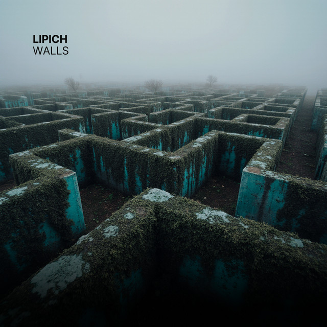 Обкладинка: Walls — Lipich