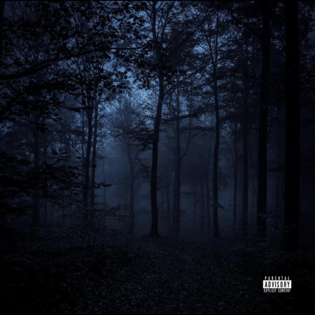 Silent Echoes album image