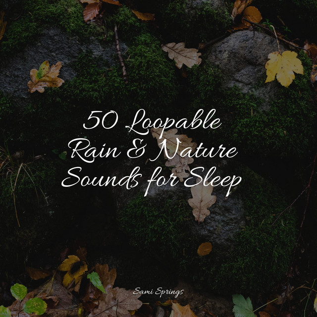 50 Loopable Rain & Nature Sounds for Sleep - Album by Tinnitus Aid ...