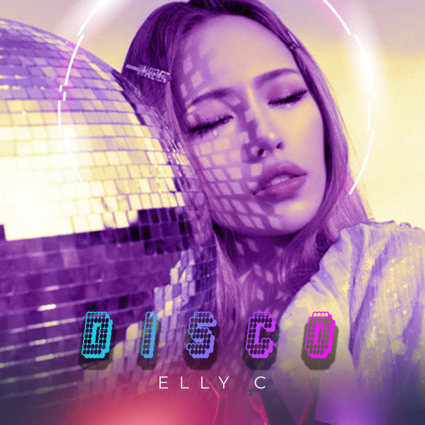 Disco cover