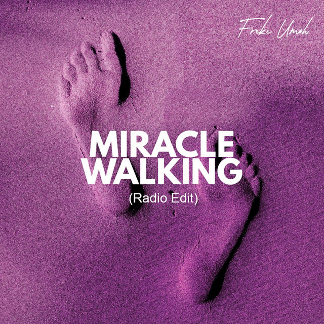 Miracle Walking (Radio Edit) album image