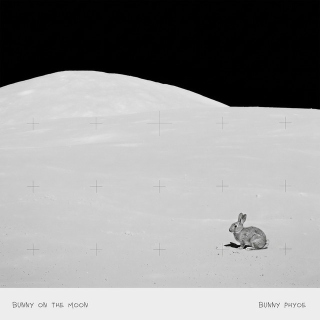 Bunny On The Moon