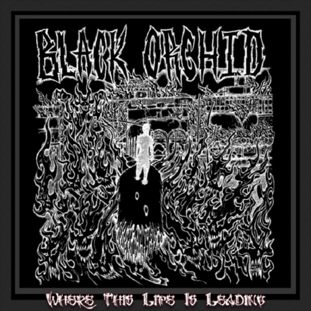 Where This Life Is Leading cover art