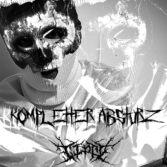 Kompletter Absturz cover