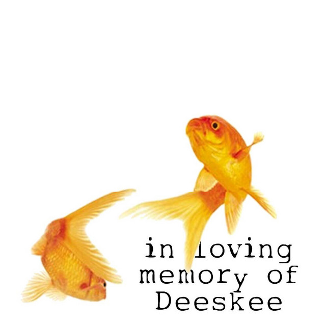In Loving Memory Of cover art
