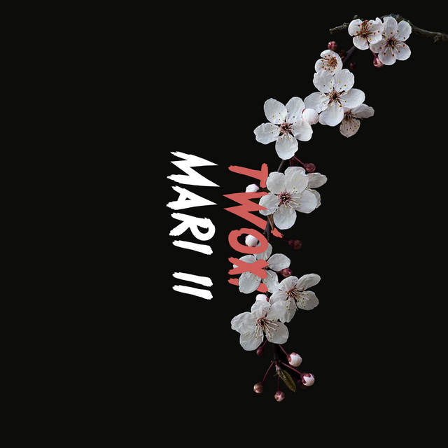 Mari II cover