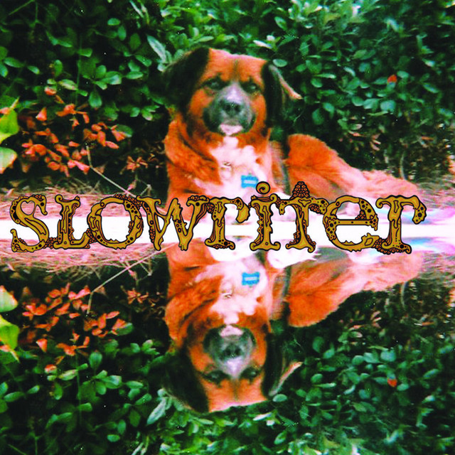 Slowriter cover art