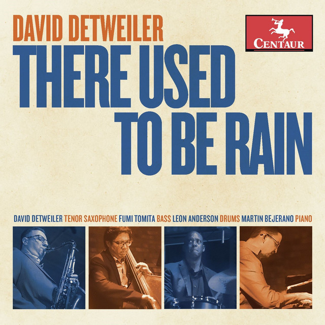 THERE USED TO BE RAIN (Live) cover