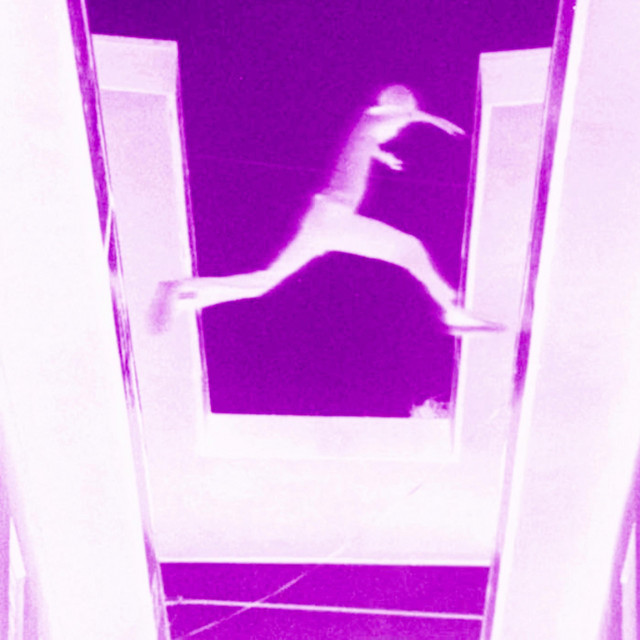 bleek's THE ECSTATIC 2 -remastered cover art