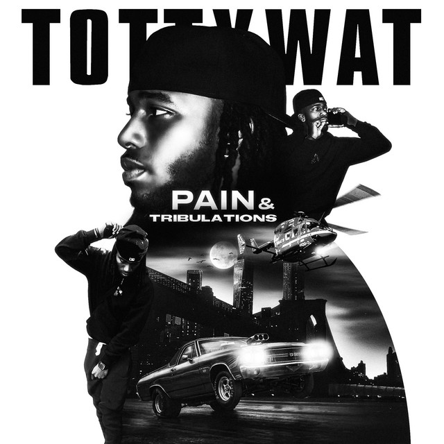 Pain & Tribulations cover art