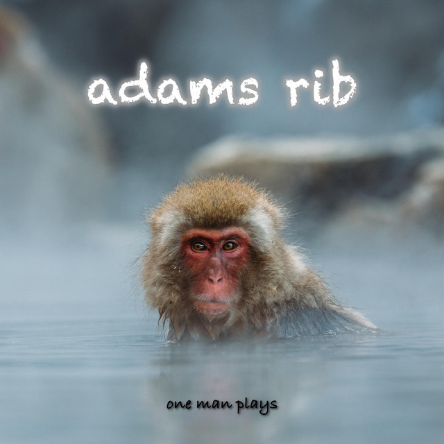 One Man Plays - Album by Adams Rib | Spotify