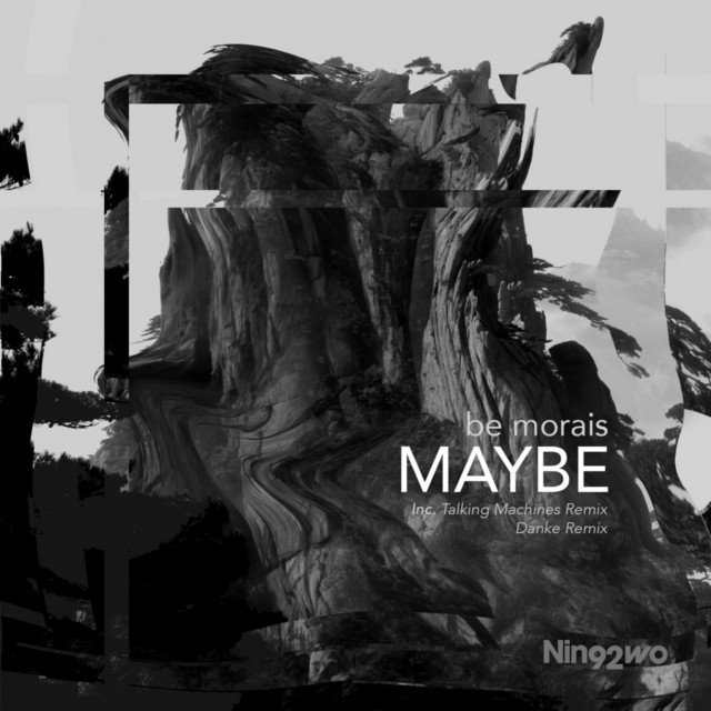 Maybe - Danke Remix cover art