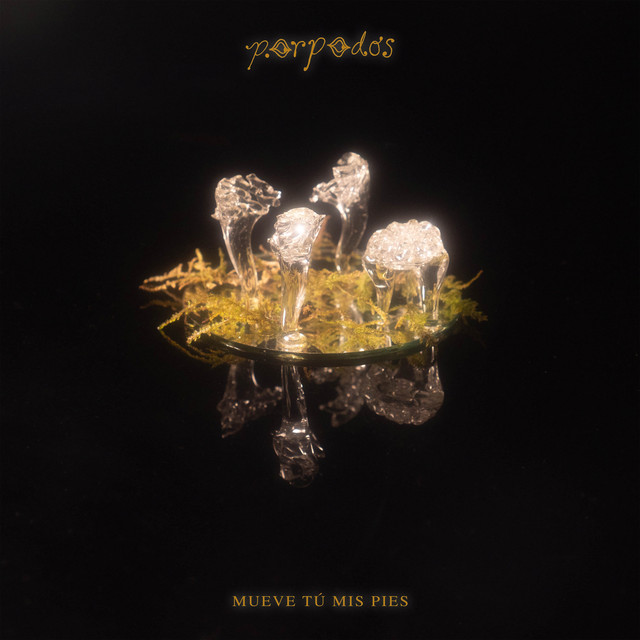 Mueve tú mis pies cover art