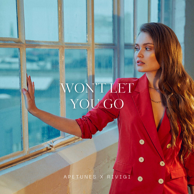 Won't Let You Go