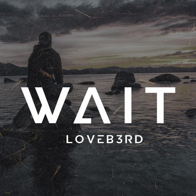 Wait cover art
