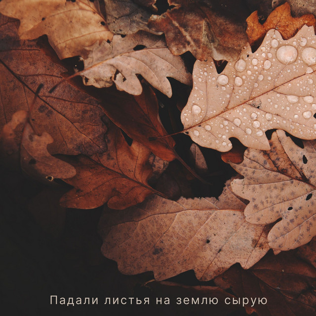 Обкладинка: Падали листья на землю сырую — Grace Harmony