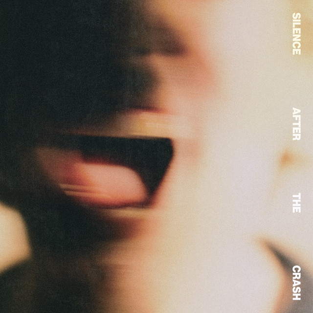 Silence After The Crash cover art