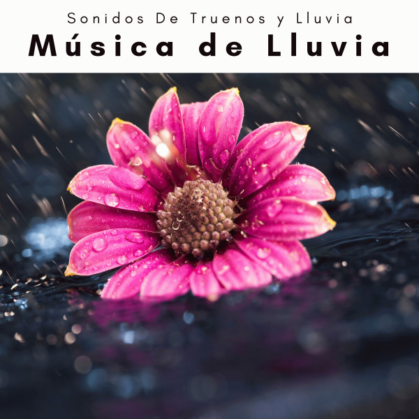 A Música de Lluvia - Album by Sonidos De Truenos y Lluvia | Spotify