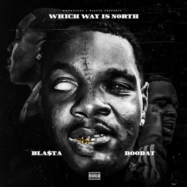 Which Way Is North cover art