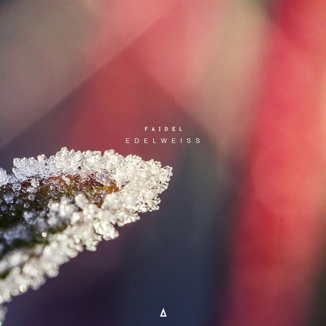 Edelweiss cover art