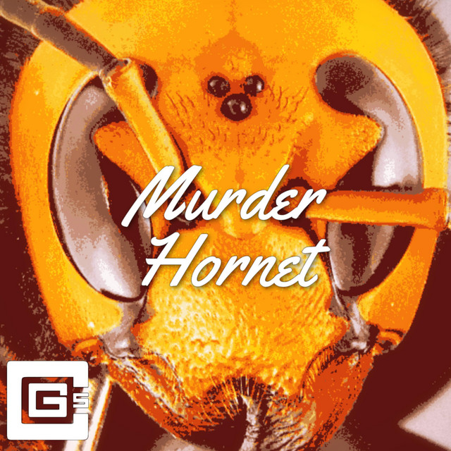 Murder Hornet cover art