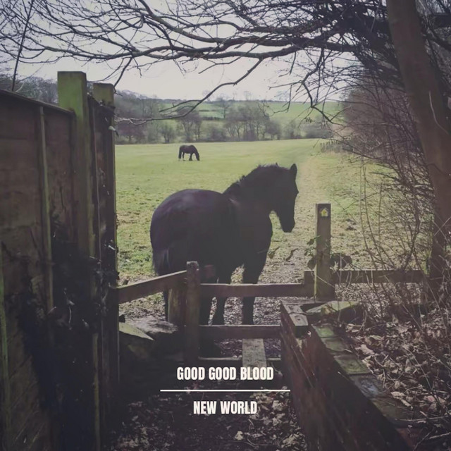 undefined album image