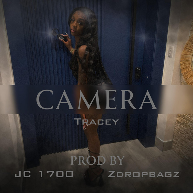 Camera cover art