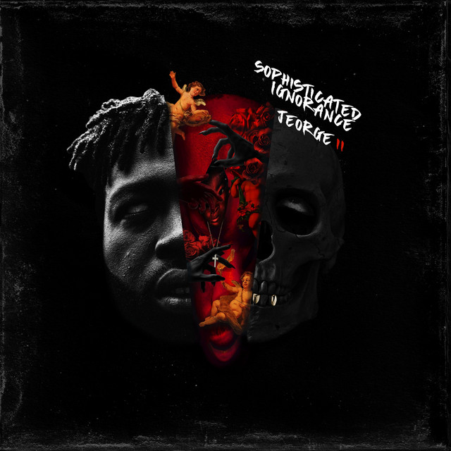 Sophisticated Ignorance