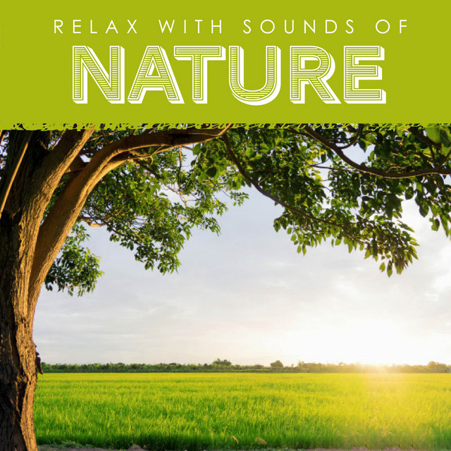Relax with Sounds of Nature, Vol. 1 - Compilation by Various Artists ...