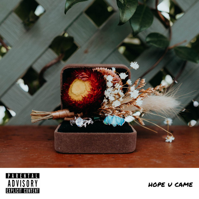 hope u came cover
