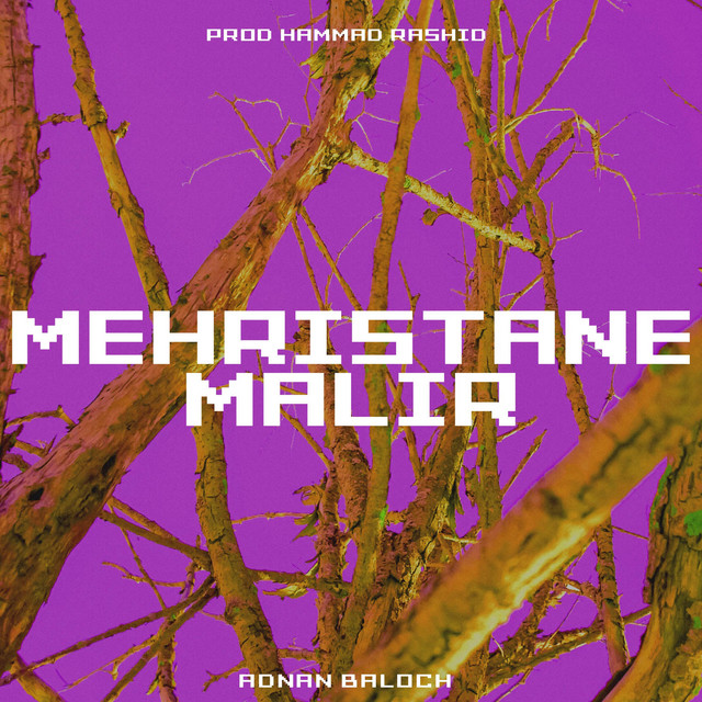Mehristane Malir - Single by Hammad Rashid | Spotify