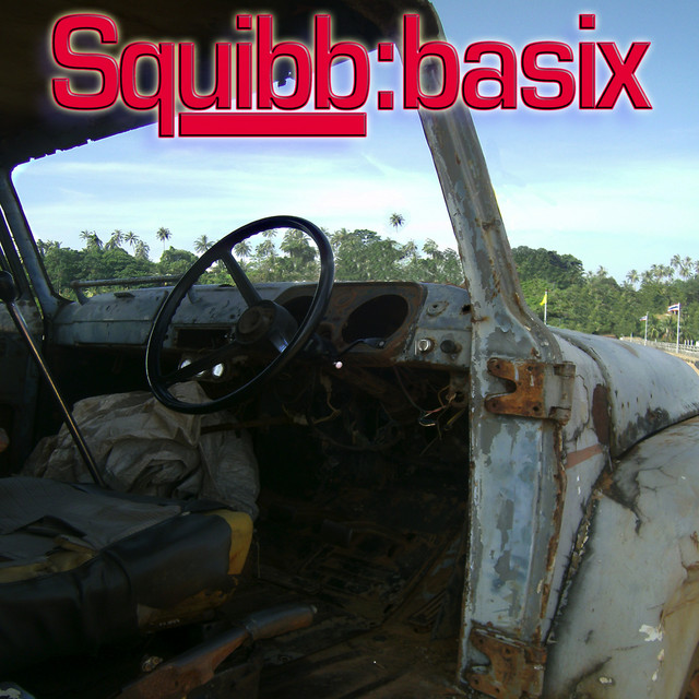 Basix cover