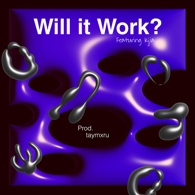 will it work? cover art