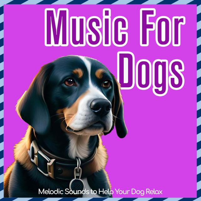 Music for Dogs - Melodic Sounds to Help Your Dog Relax cover art
