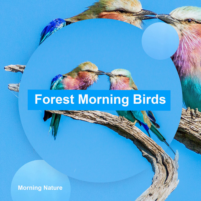 Morning Nature