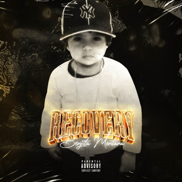 RECOVERY THE ALBUM cover art