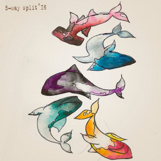 5-way split'16 cover