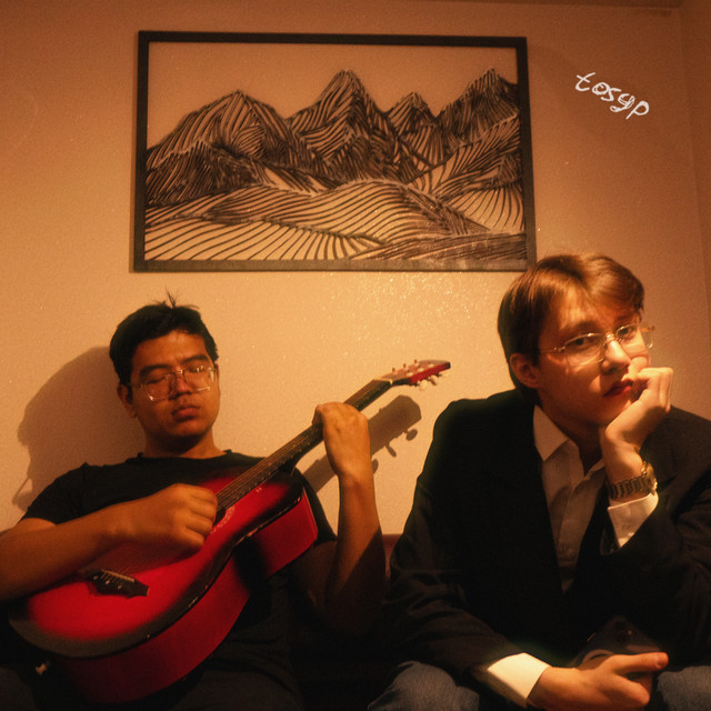 tosyp cover art