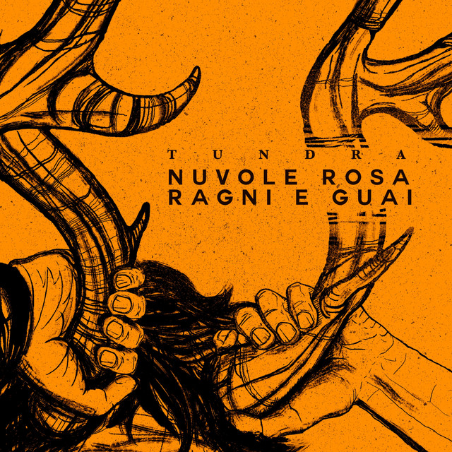 Nuvole rosa, ragni e guai cover art