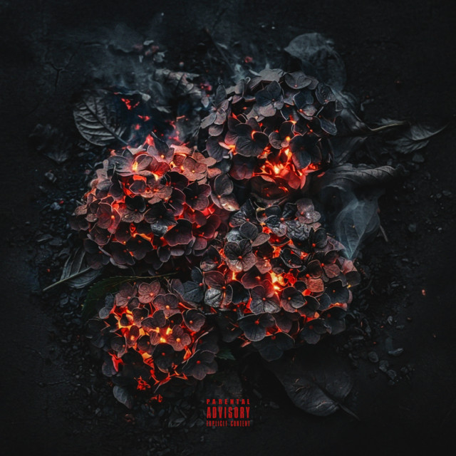 WHΛT IS KOUЯT cover art