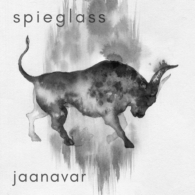 Jaanavar