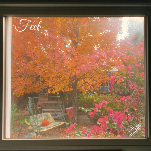 Feel cover art