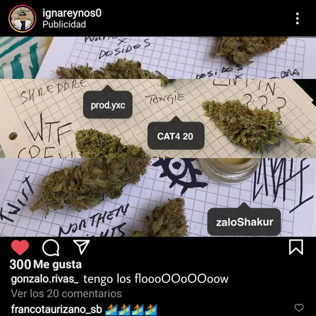 INSTA cover art