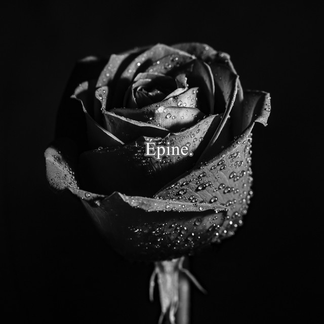 Épine.