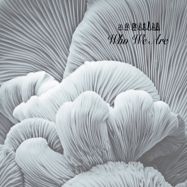 In the Flesh cover art