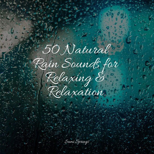 50 Natural Rain Sounds for Relaxing & Relaxation - Album by Easy Sleep ...