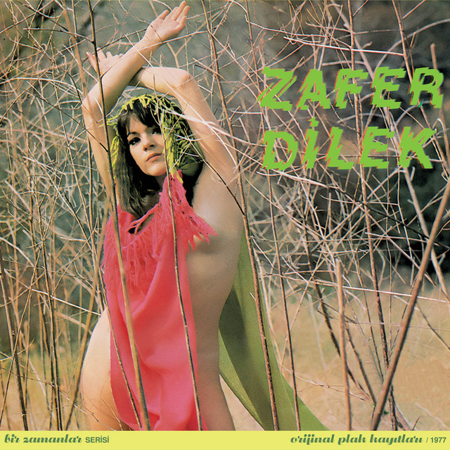 Oyun Havaları cover art
