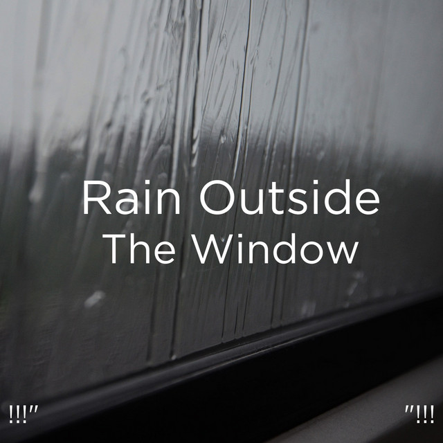 !!!" Rain Outside The Window "!!! cover art