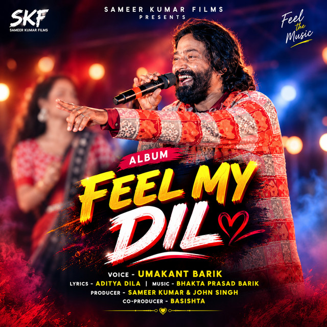 Feel My Dil album image