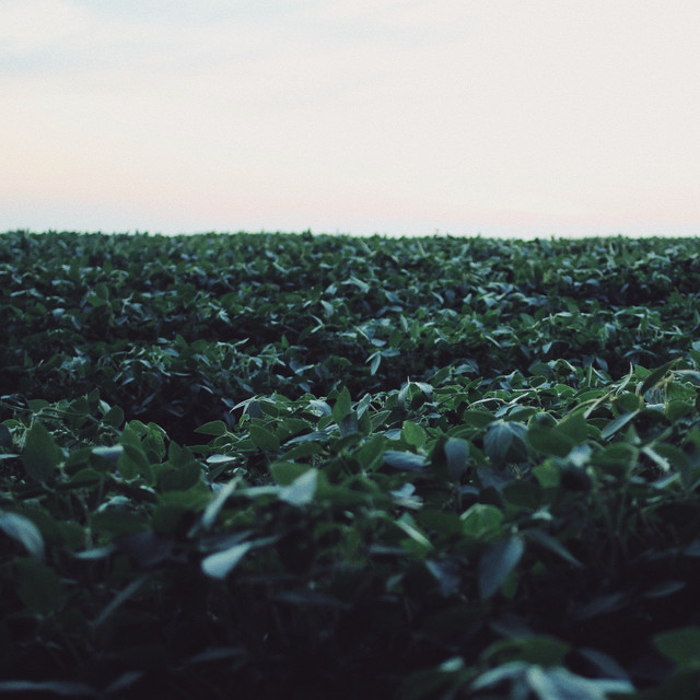 Rolling Gardens cover